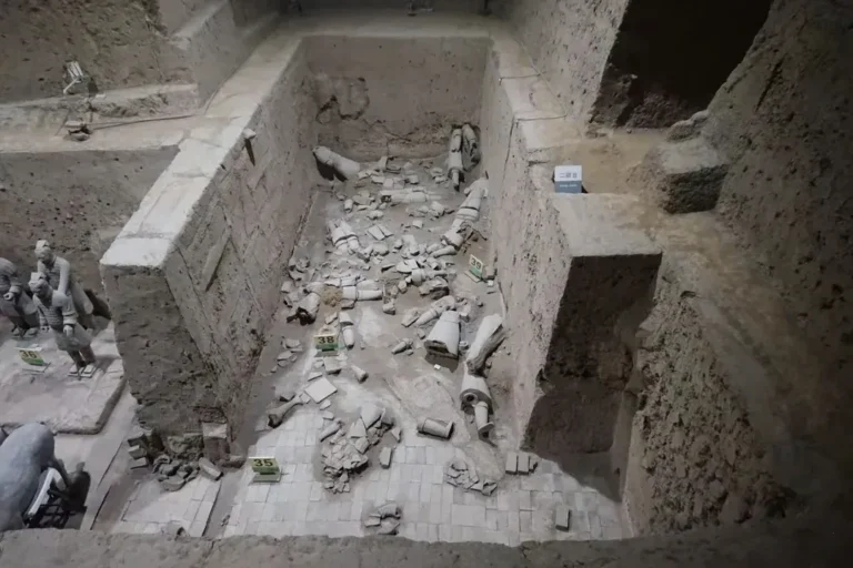 Were any Terracotta Warriors intact?
