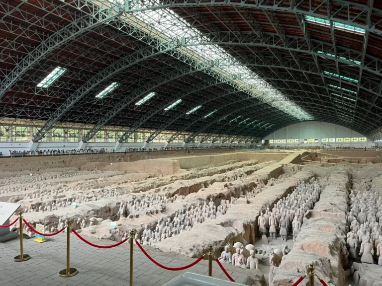 How much of the Terracotta Army has been dug up?