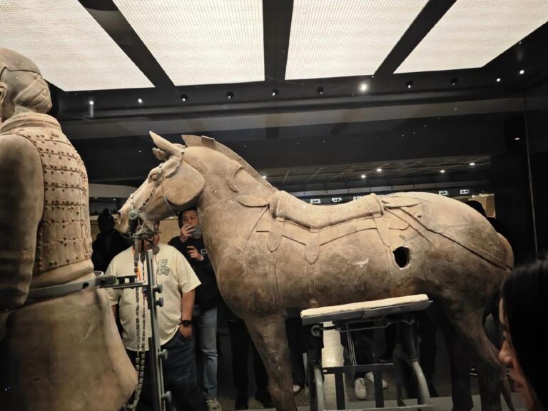 How many wives did Qin Shi Huang have?